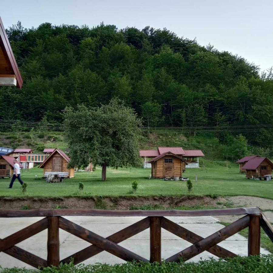 Camp &Apartmens Scepanovic Mojkovac Exteriör bild