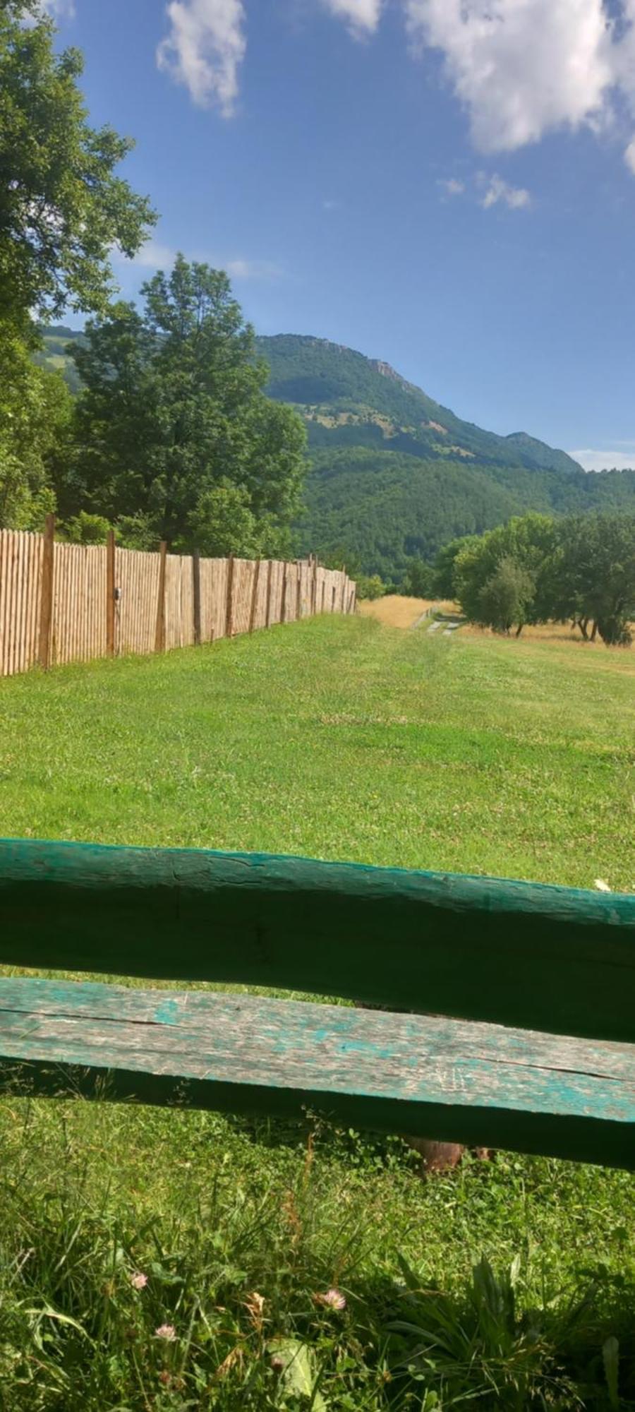 Camp &Apartmens Scepanovic Mojkovac Exteriör bild